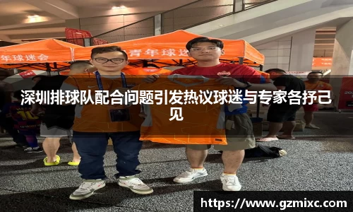 深圳排球队配合问题引发热议球迷与专家各抒己见
