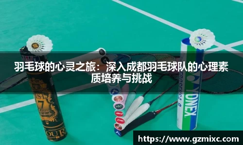 羽毛球的心灵之旅：深入成都羽毛球队的心理素质培养与挑战