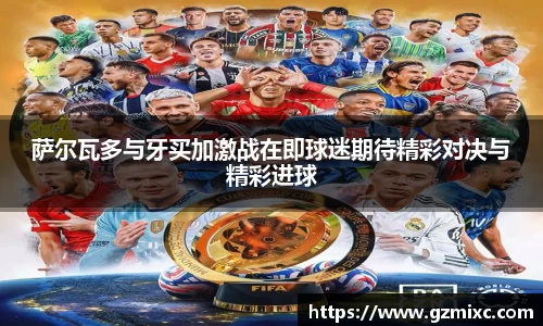 伟德bv国际